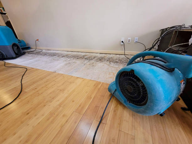 Professional Water Removal technician working in Weyanoke, LA